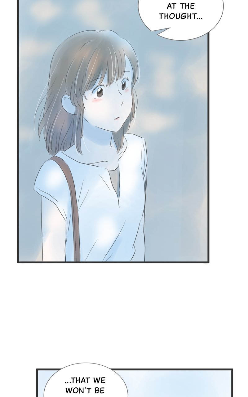 Amid the Changing Seasons