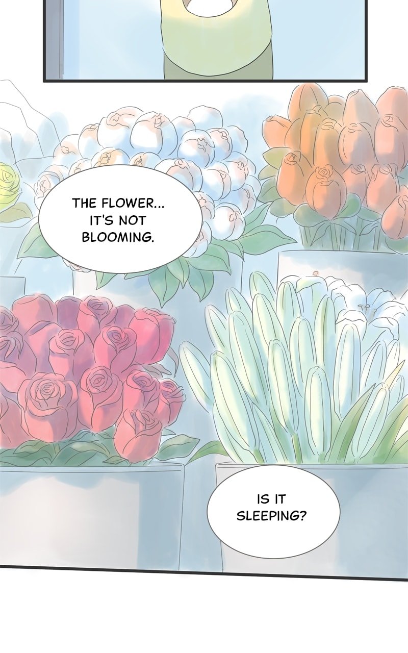 Amid the Changing Seasons