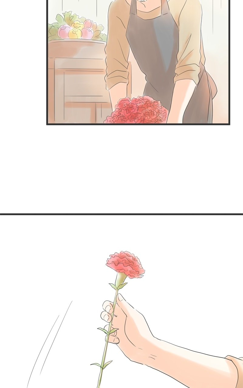 Amid the Changing Seasons