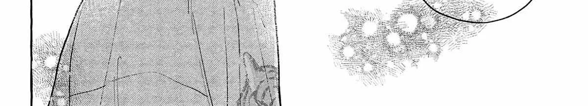 Uruwashi no Yoi no Tsuki