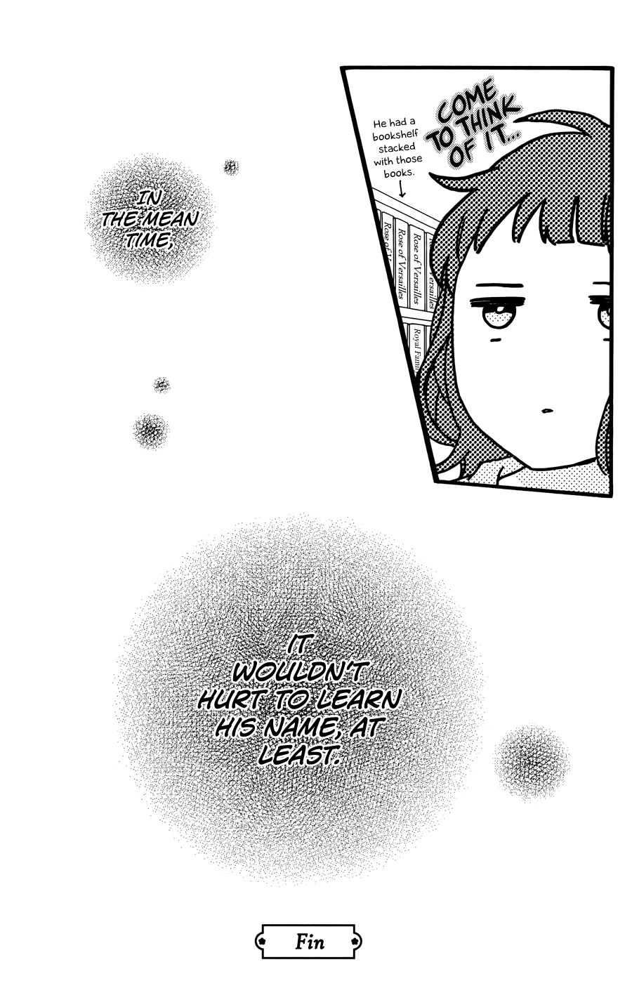 Daytime Shooting Star