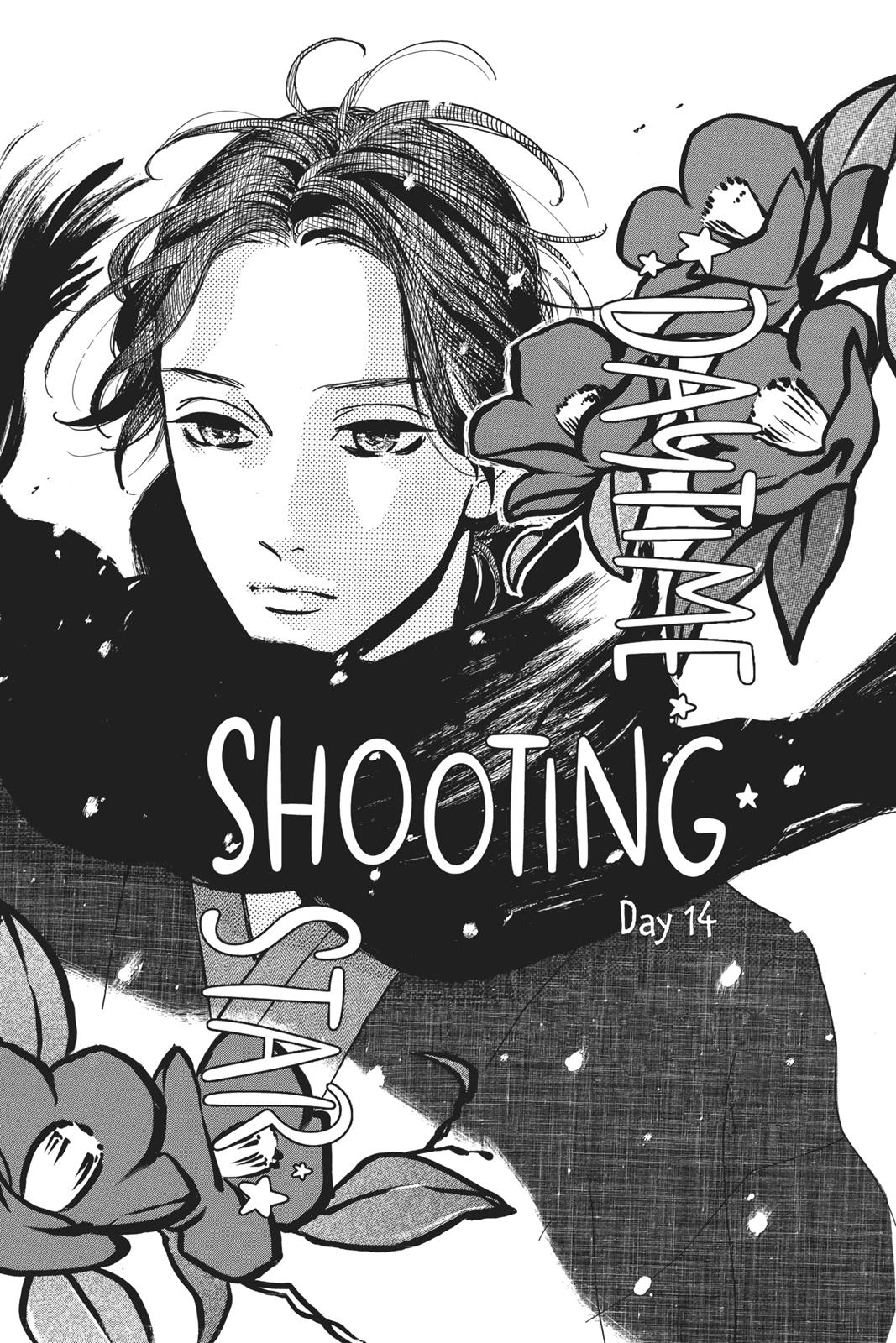 Daytime Shooting Star