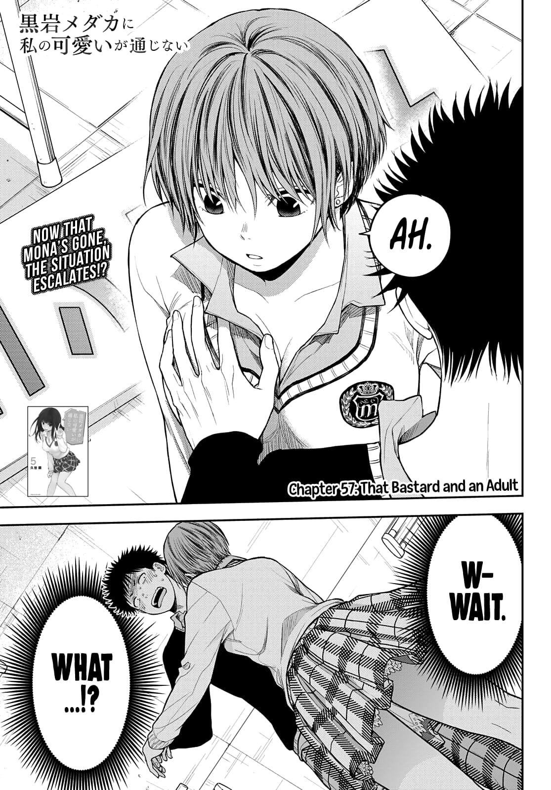 Kuroiwa Medaka ni Watashi no Kawaii ga Tsuujinai