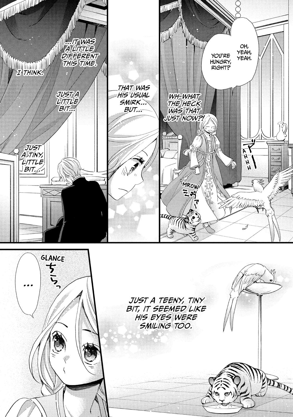 Nina the Starry Bride