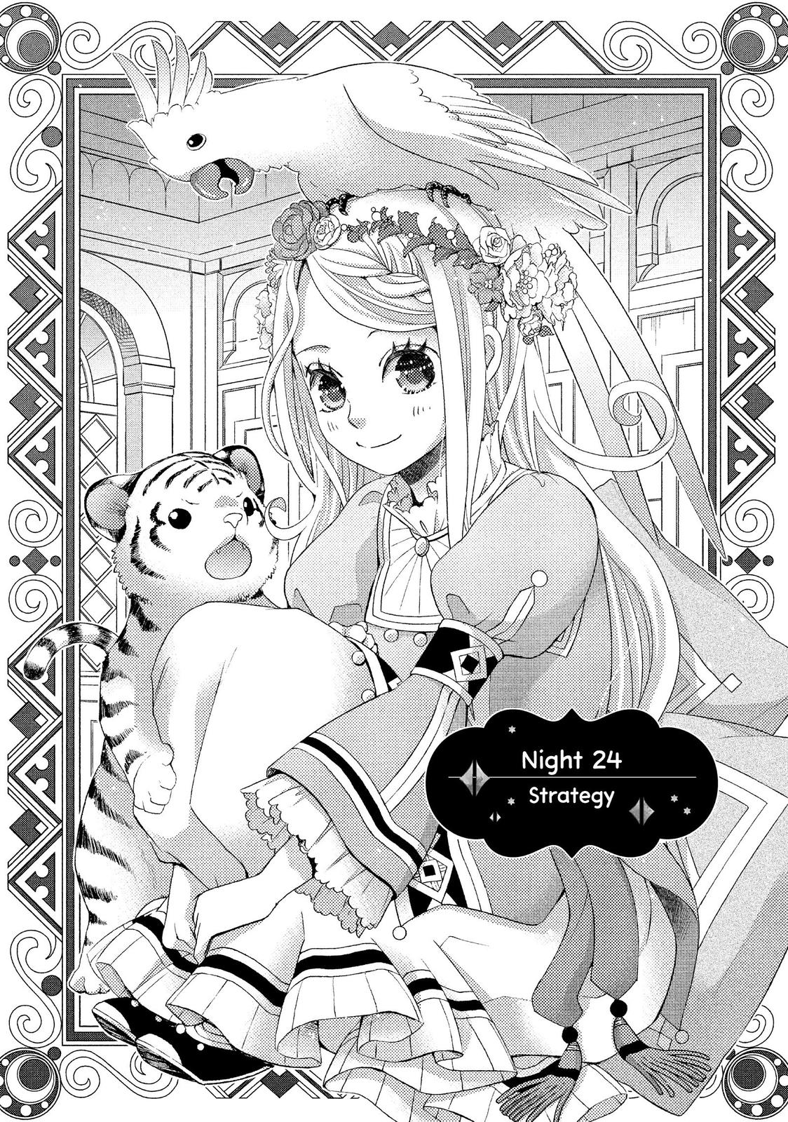 Nina the Starry Bride