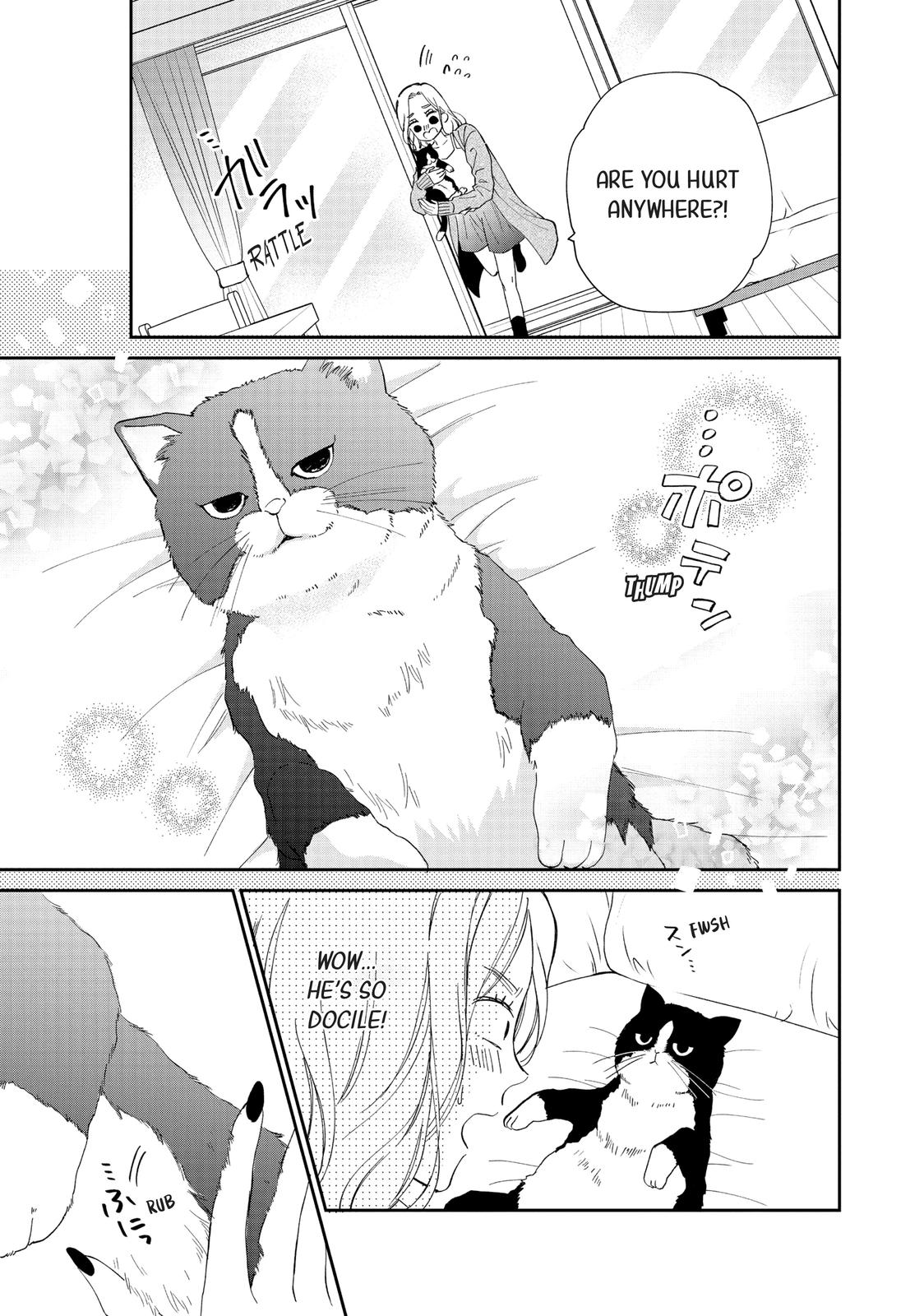 A Kiss with a Cat