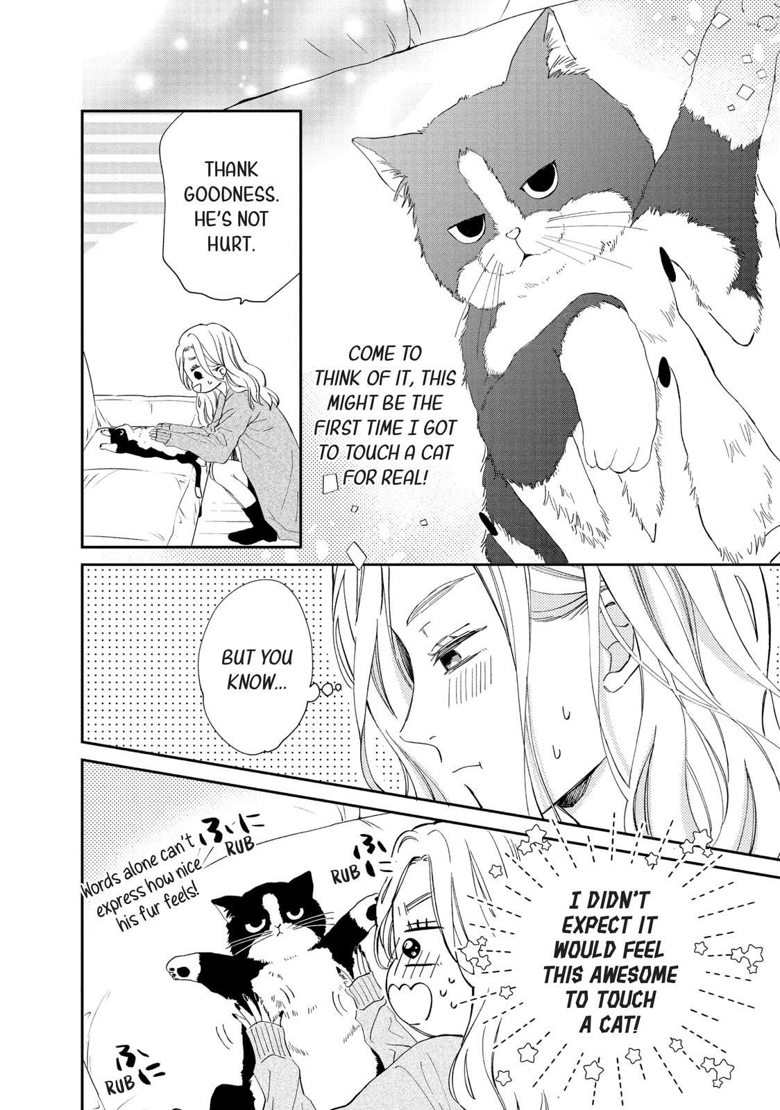 A Kiss with a Cat