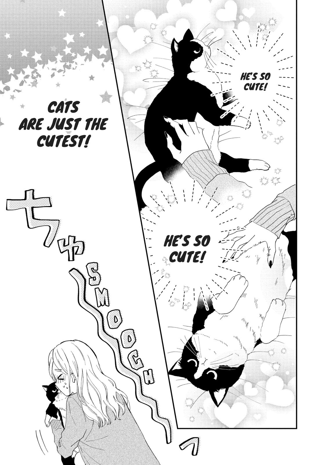 A Kiss with a Cat