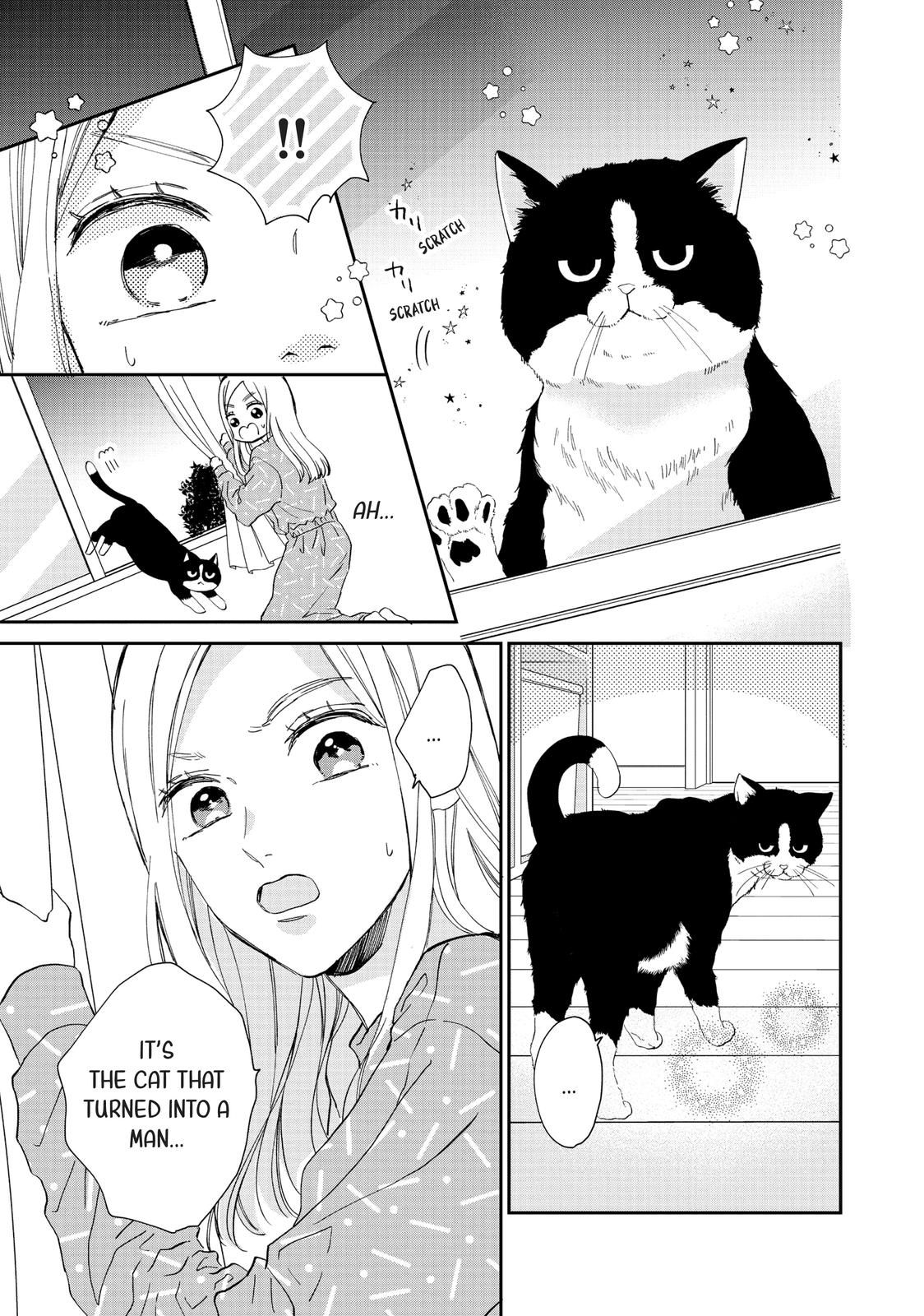 A Kiss with a Cat