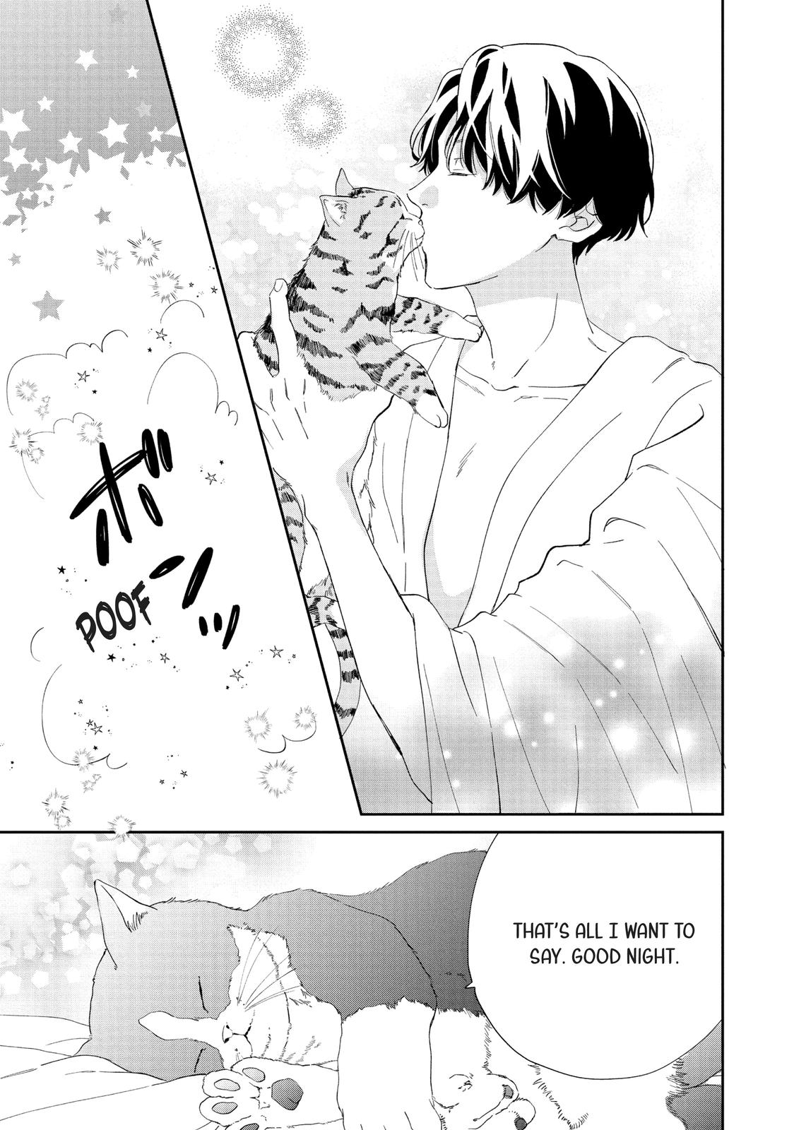 A Kiss with a Cat
