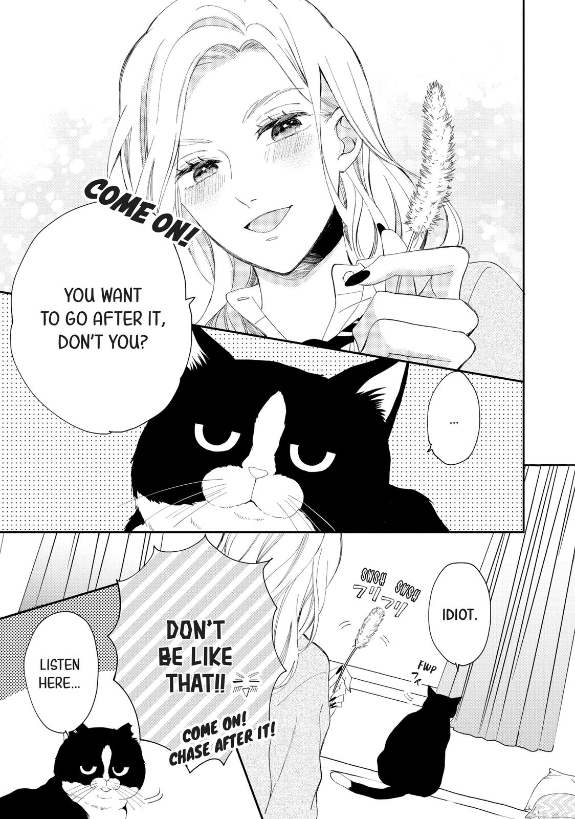 A Kiss with a Cat