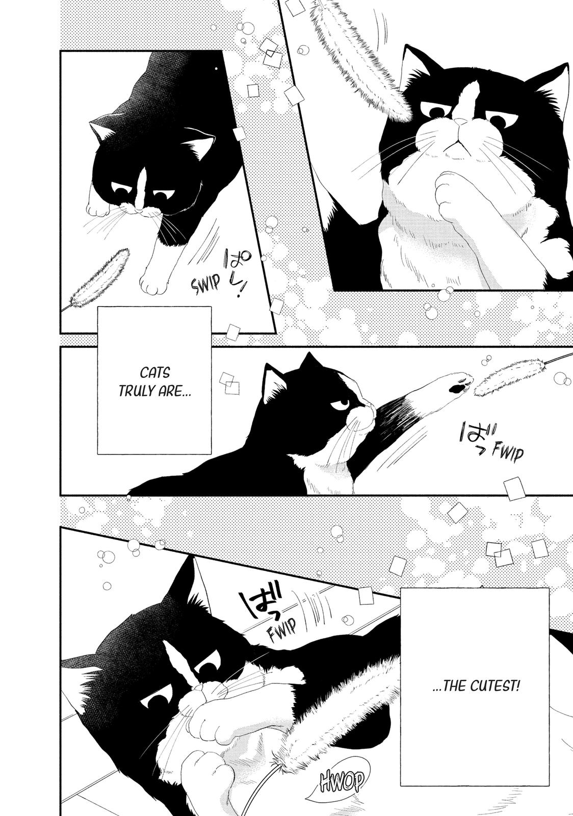 A Kiss with a Cat