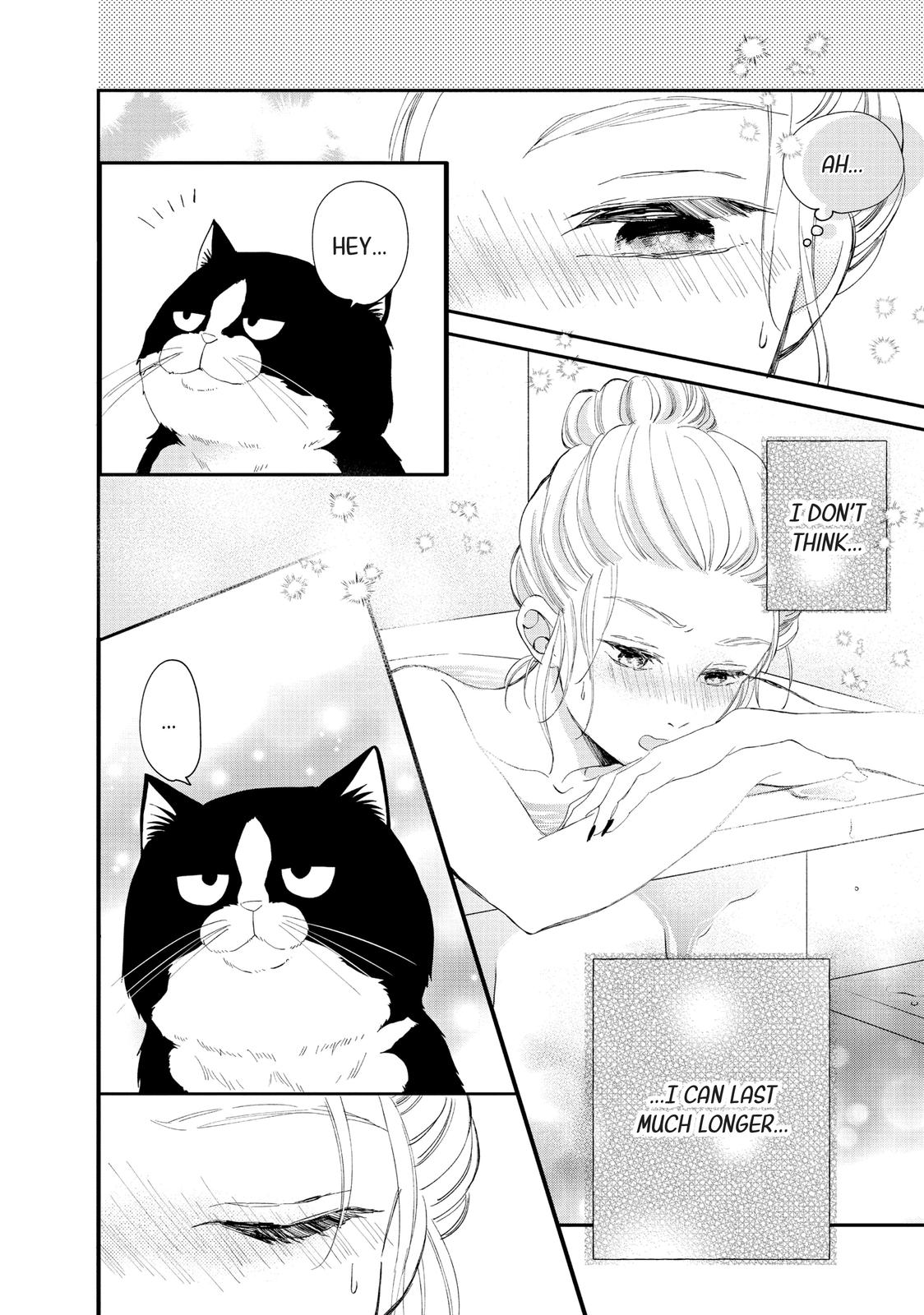 A Kiss with a Cat