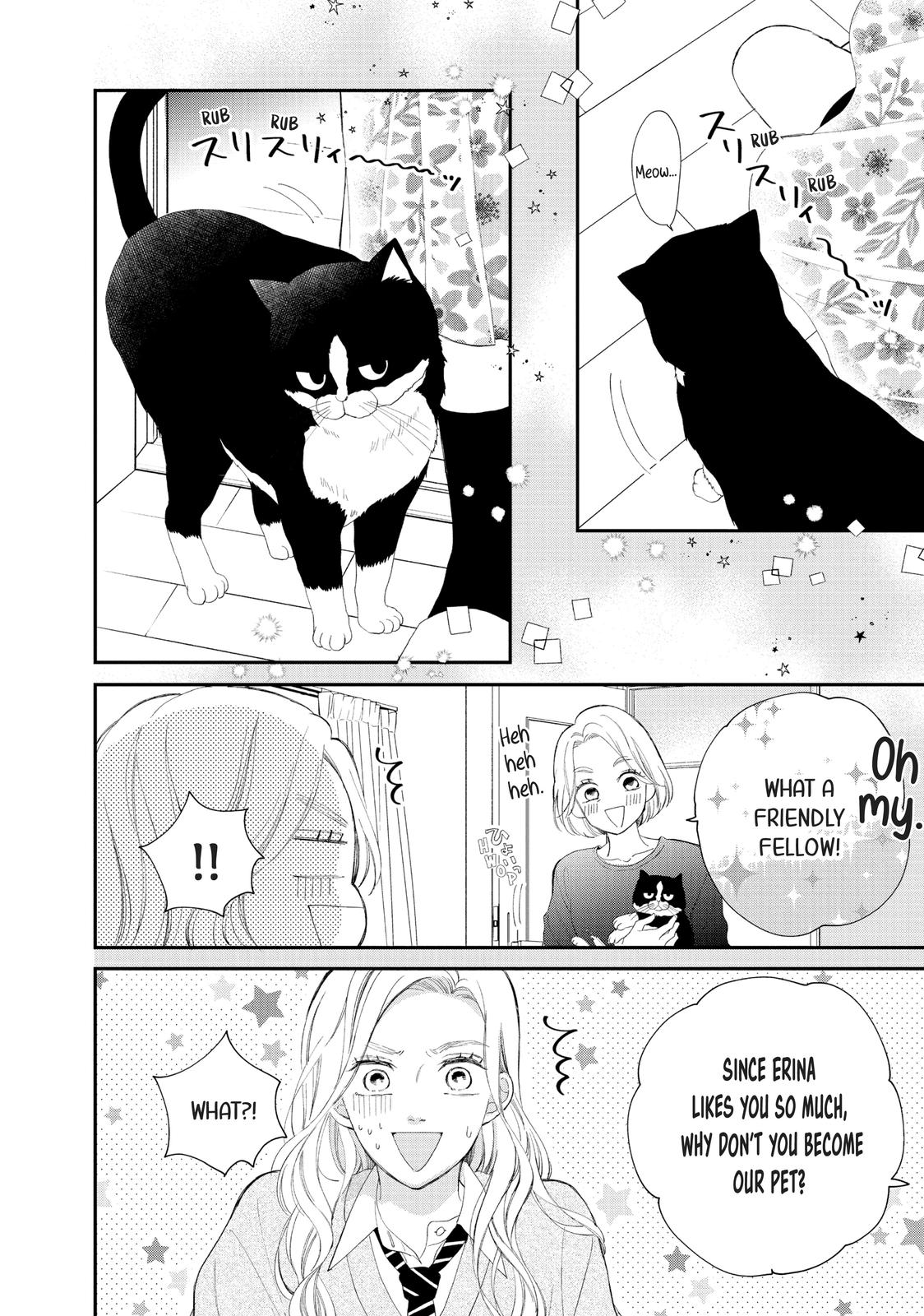 A Kiss with a Cat