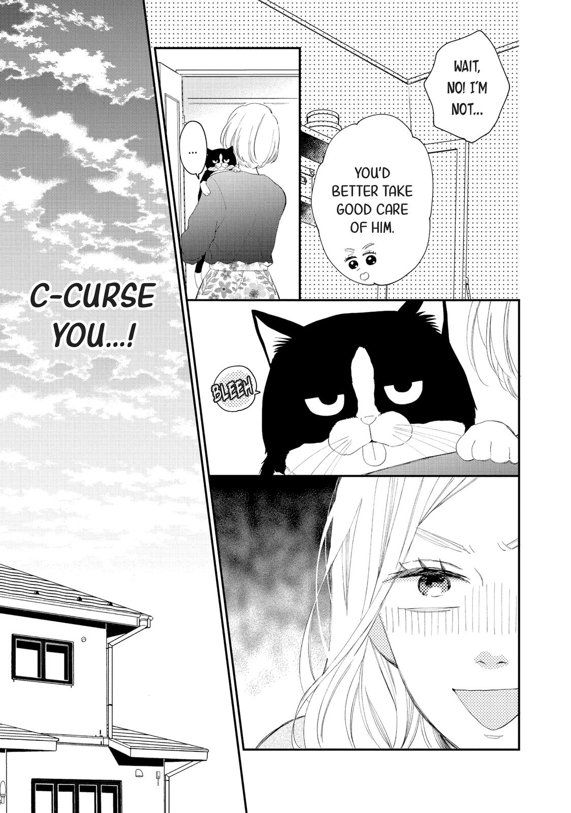 A Kiss with a Cat
