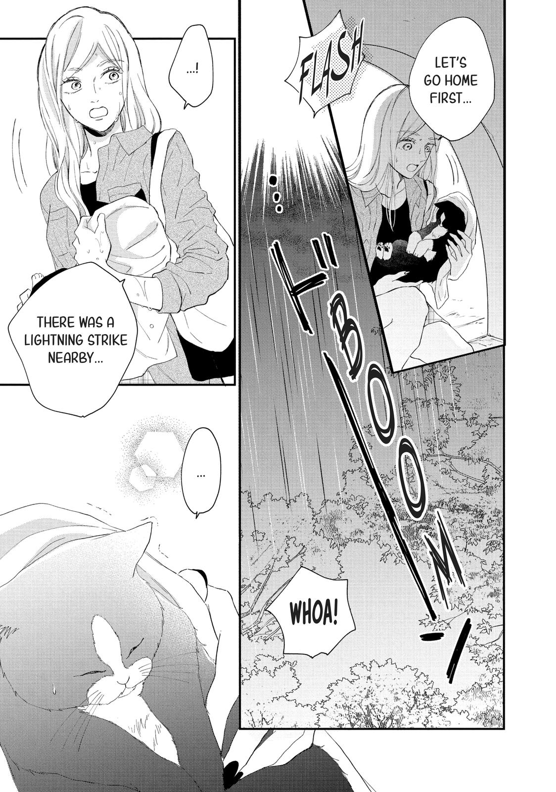 A Kiss with a Cat