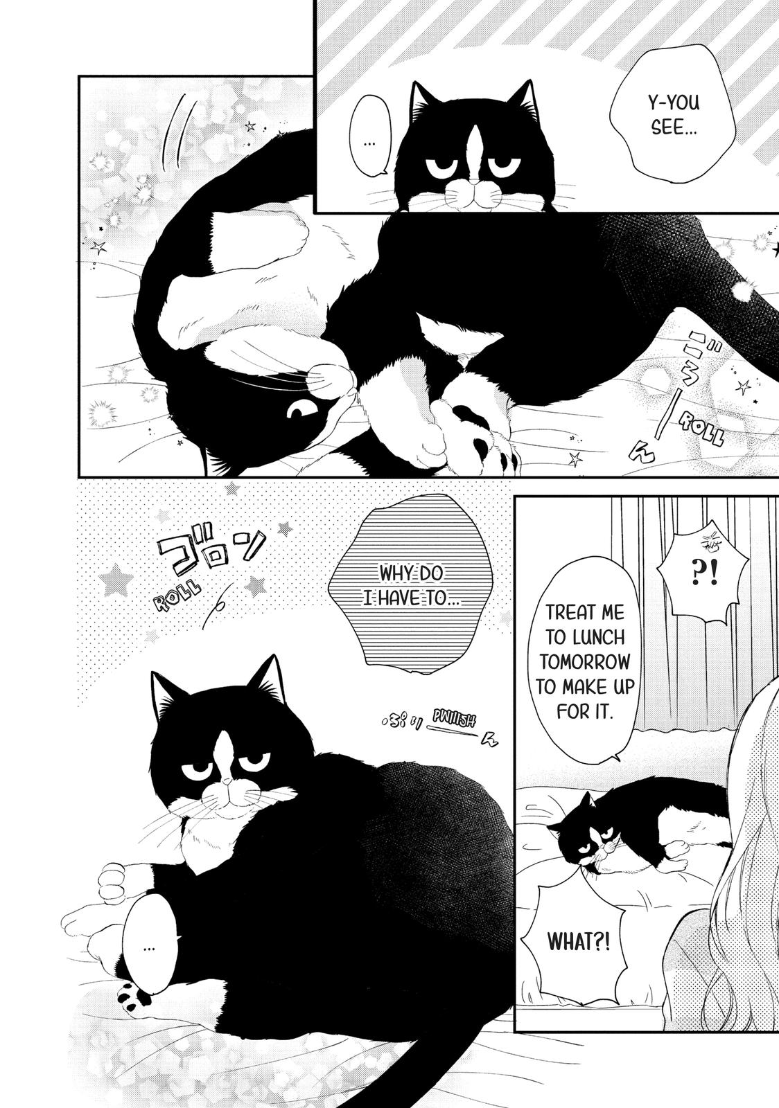 A Kiss with a Cat