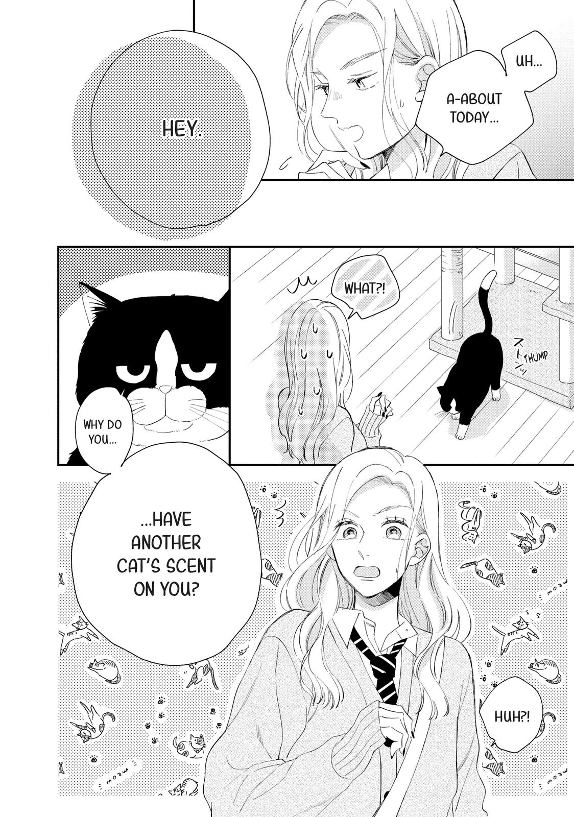 A Kiss with a Cat