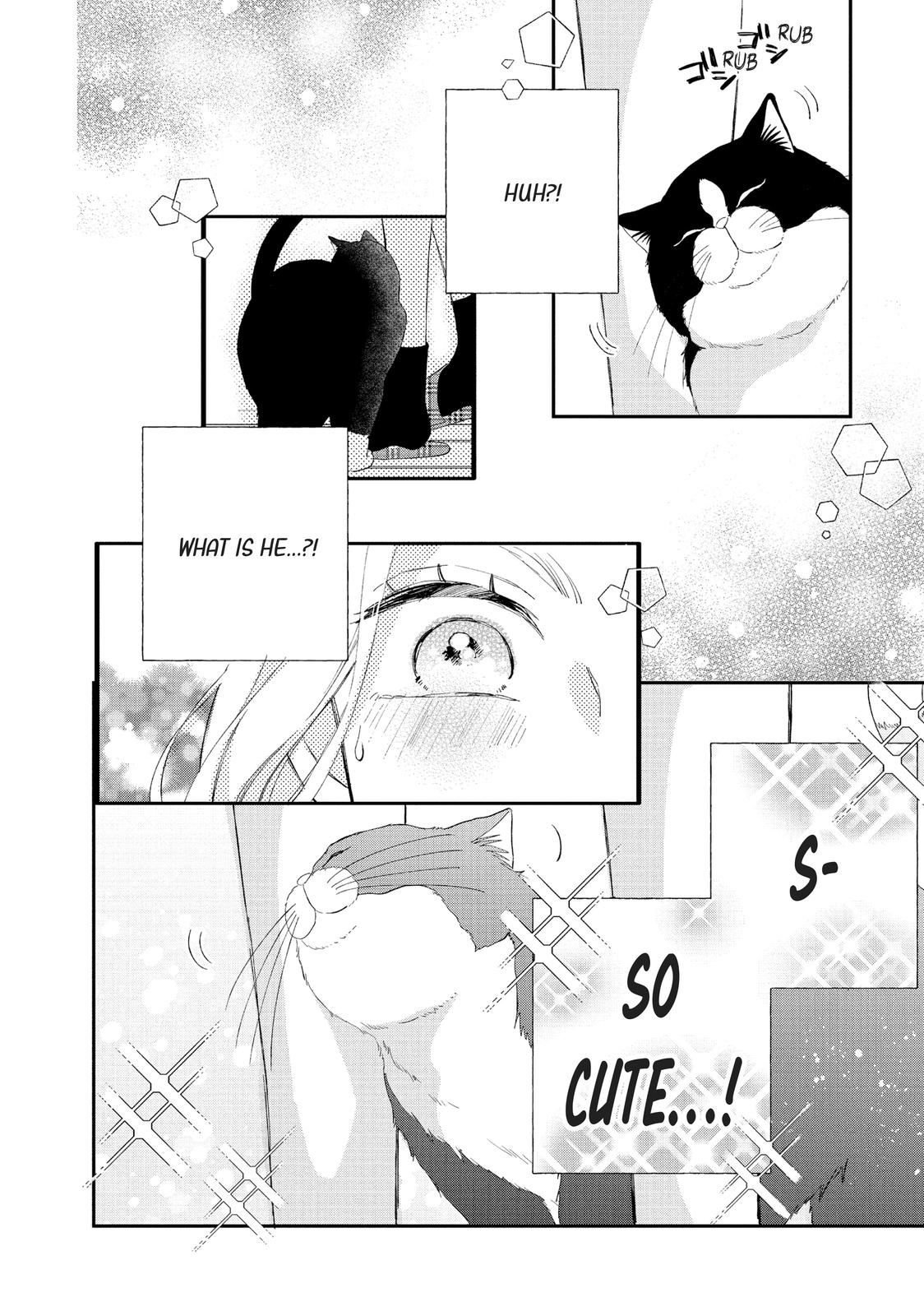 A Kiss with a Cat
