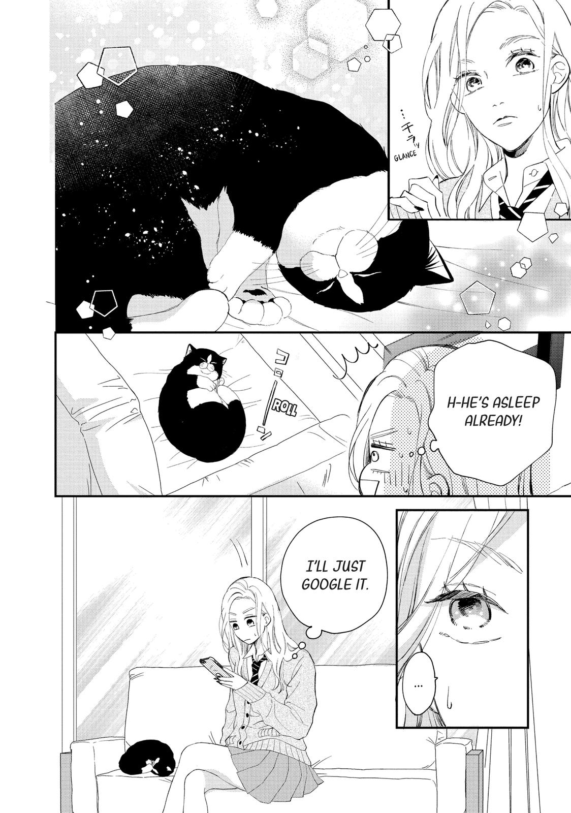 A Kiss with a Cat
