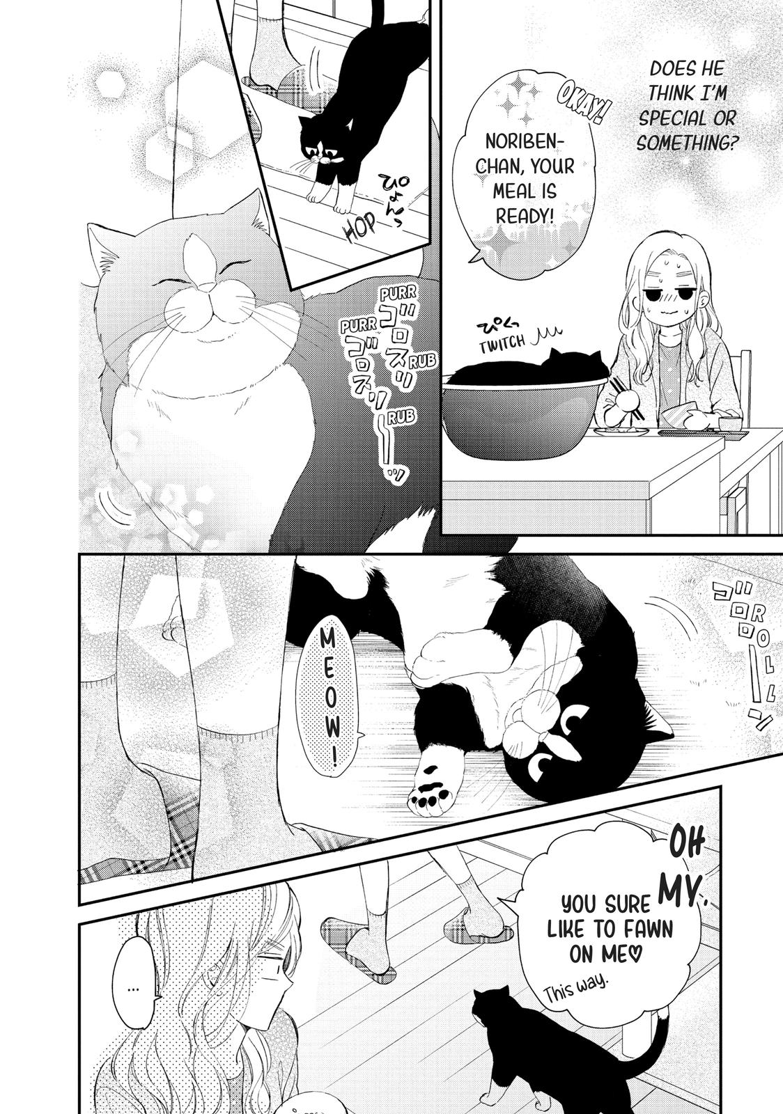 A Kiss with a Cat