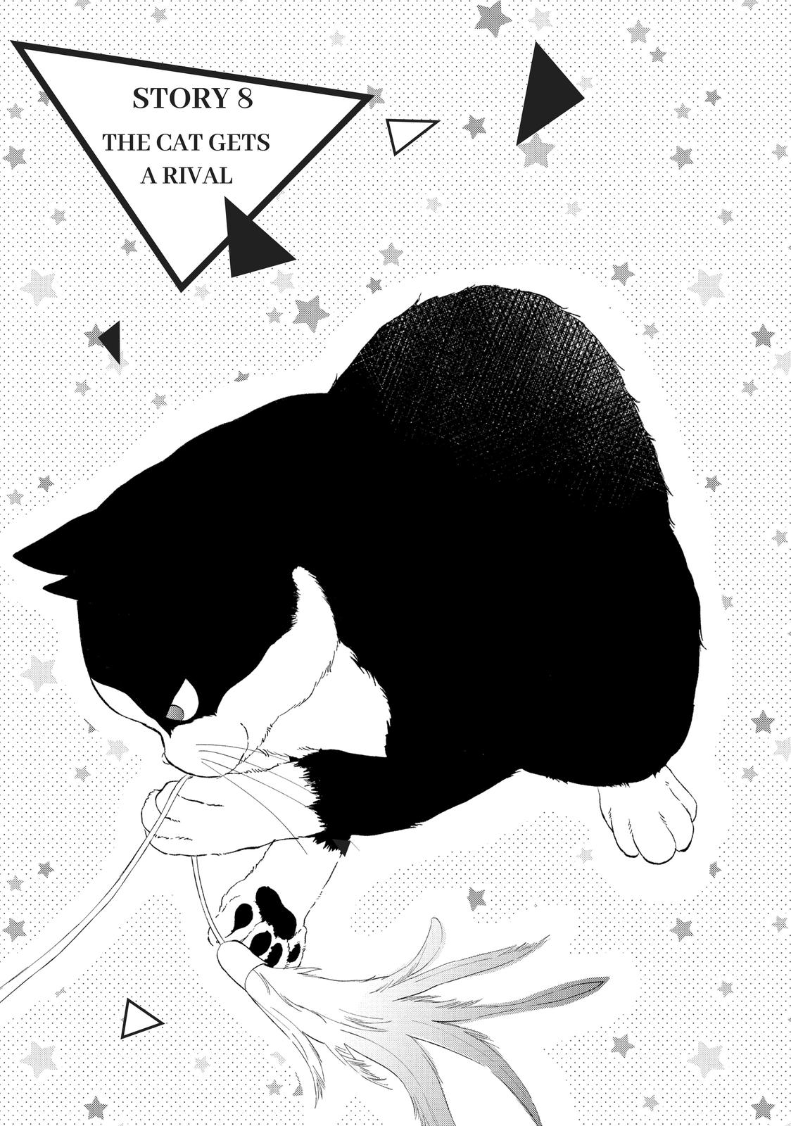 A Kiss with a Cat