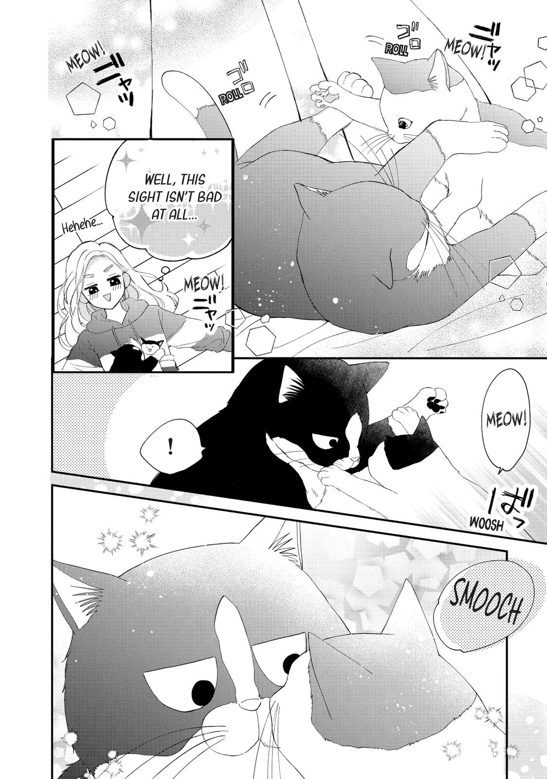 A Kiss with a Cat