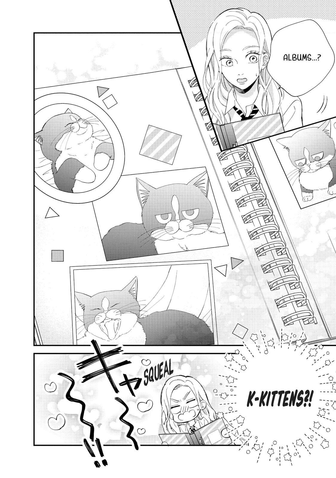 A Kiss with a Cat