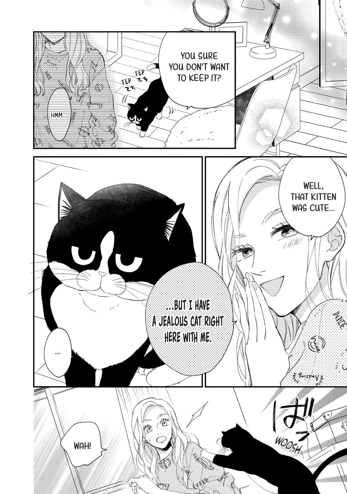 A Kiss with a Cat