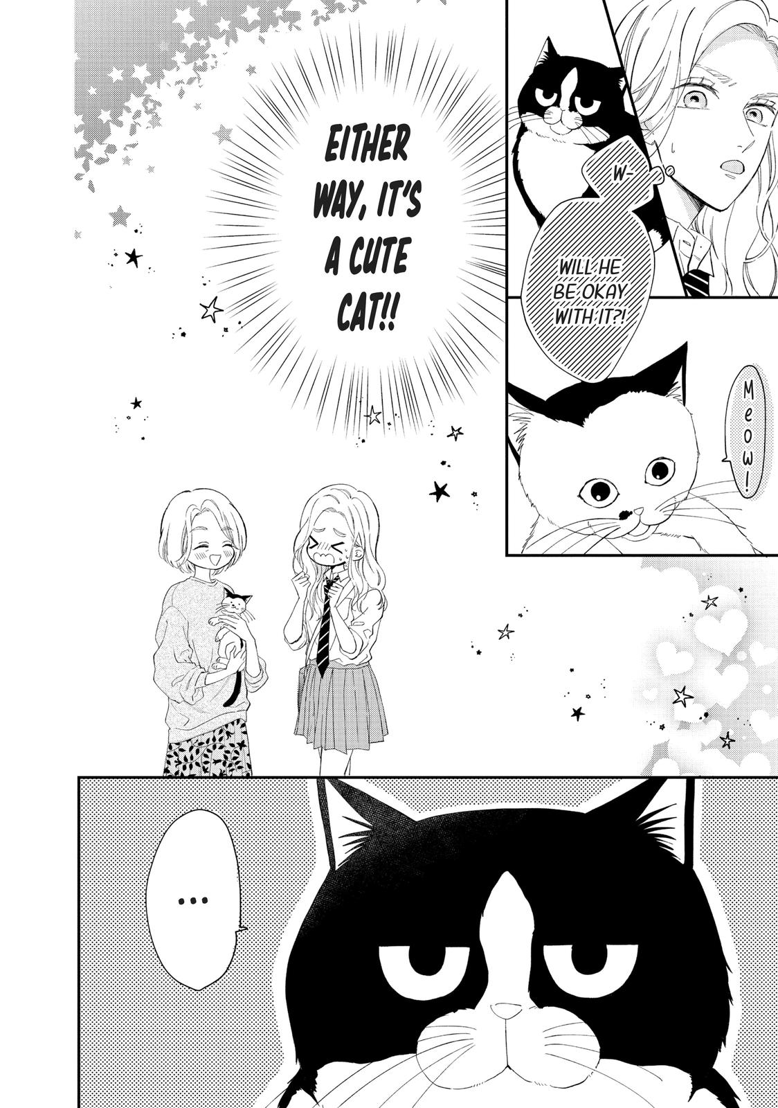 A Kiss with a Cat