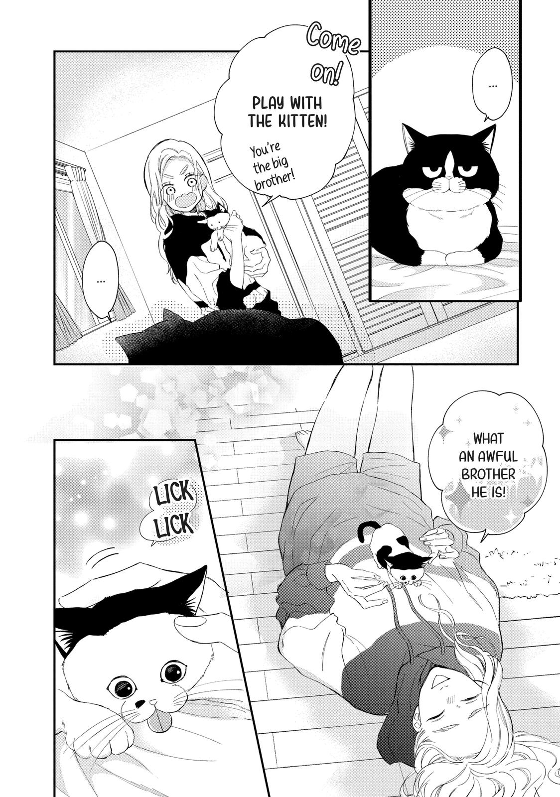 A Kiss with a Cat
