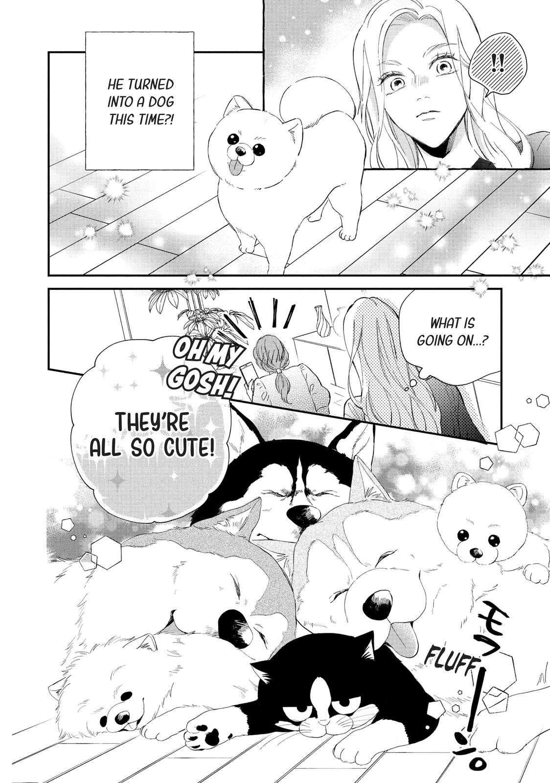 A Kiss with a Cat