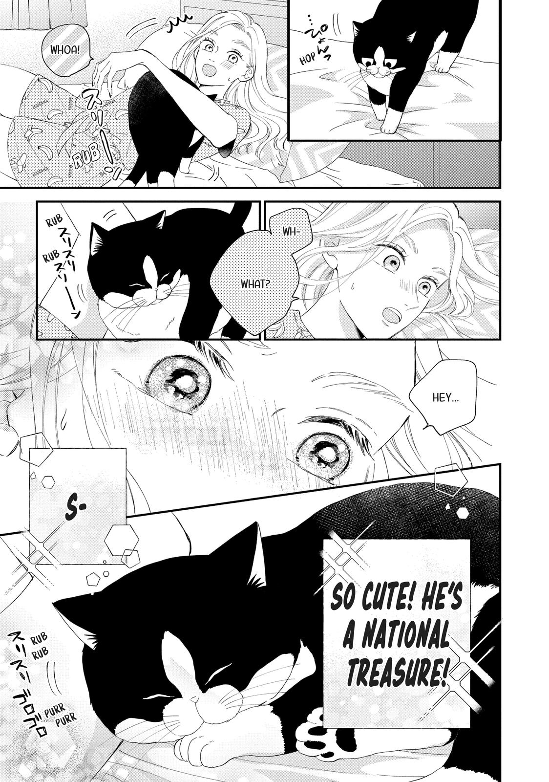 A Kiss with a Cat