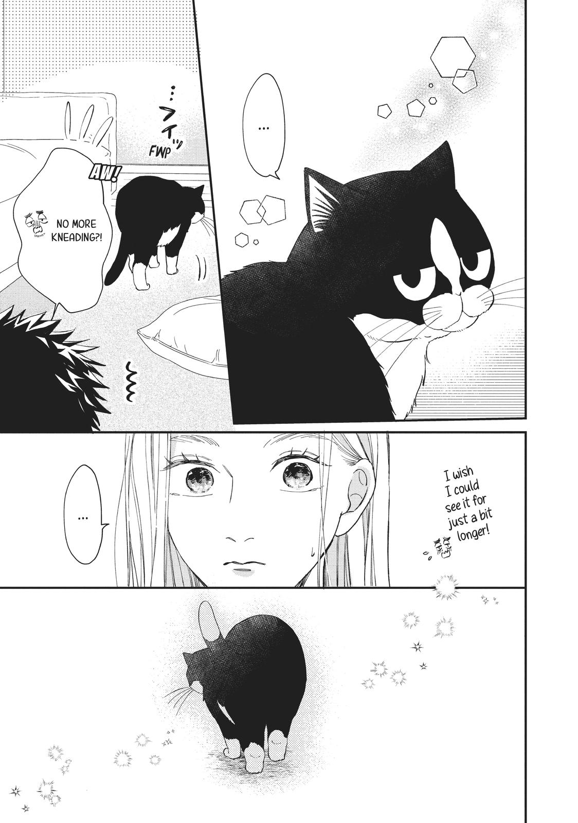 A Kiss with a Cat