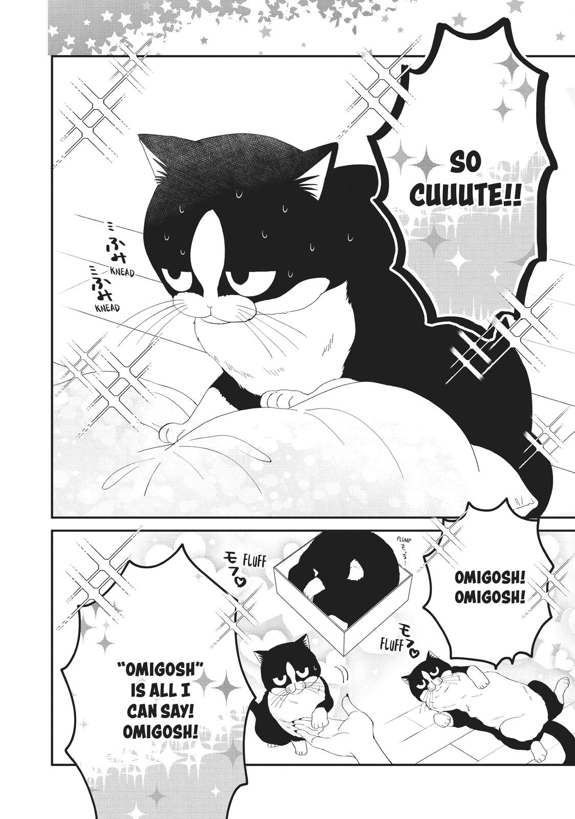 A Kiss with a Cat