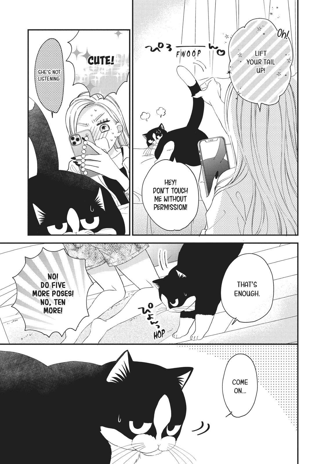 A Kiss with a Cat