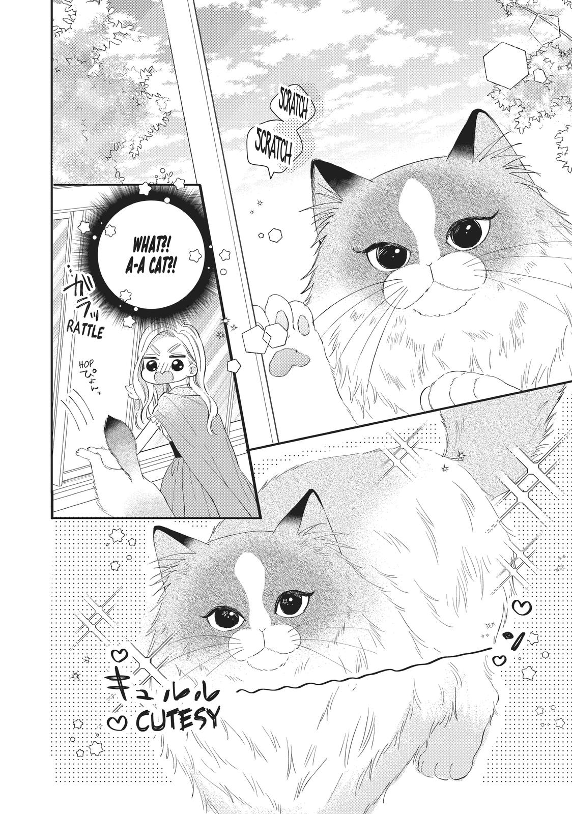 A Kiss with a Cat