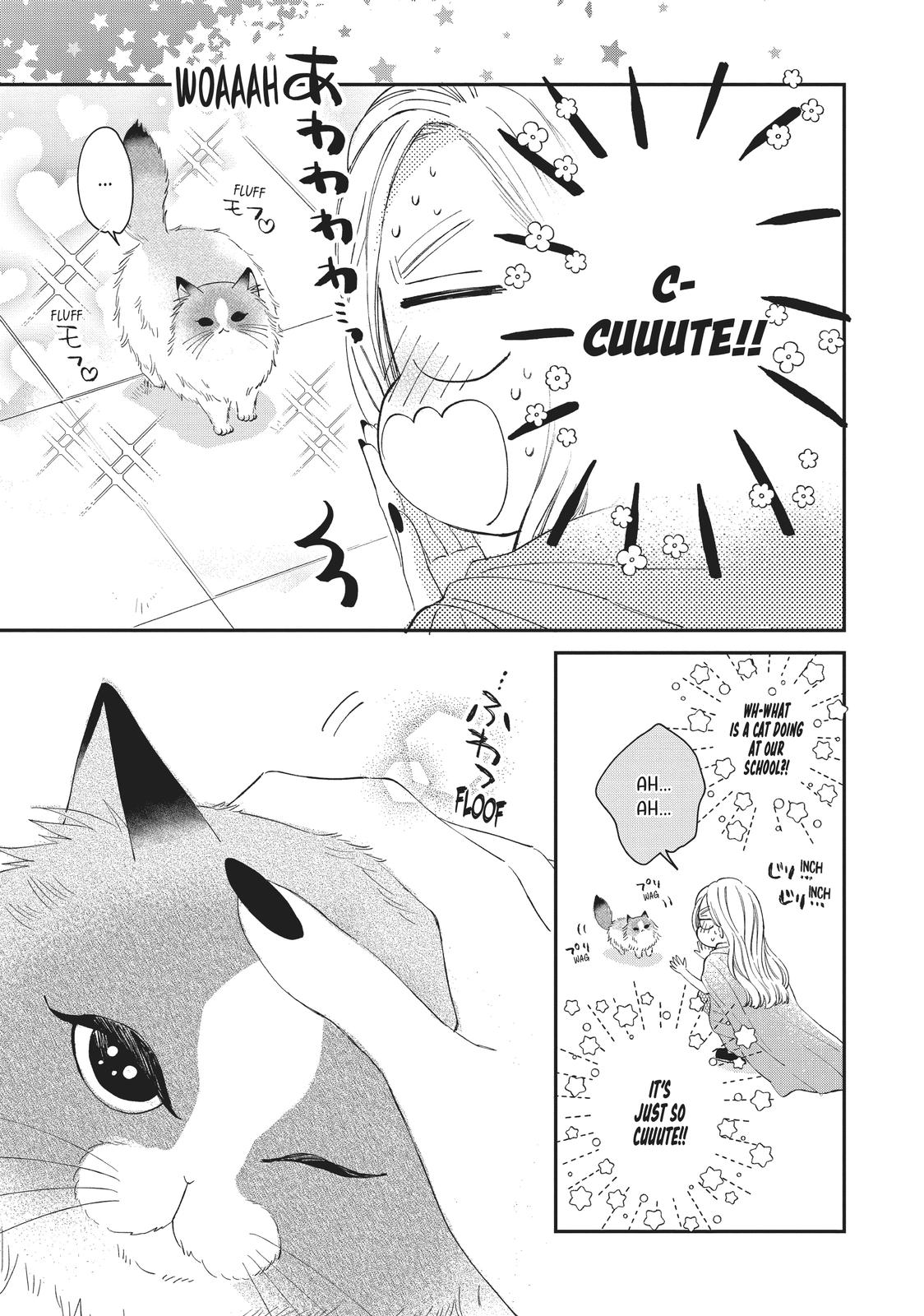 A Kiss with a Cat