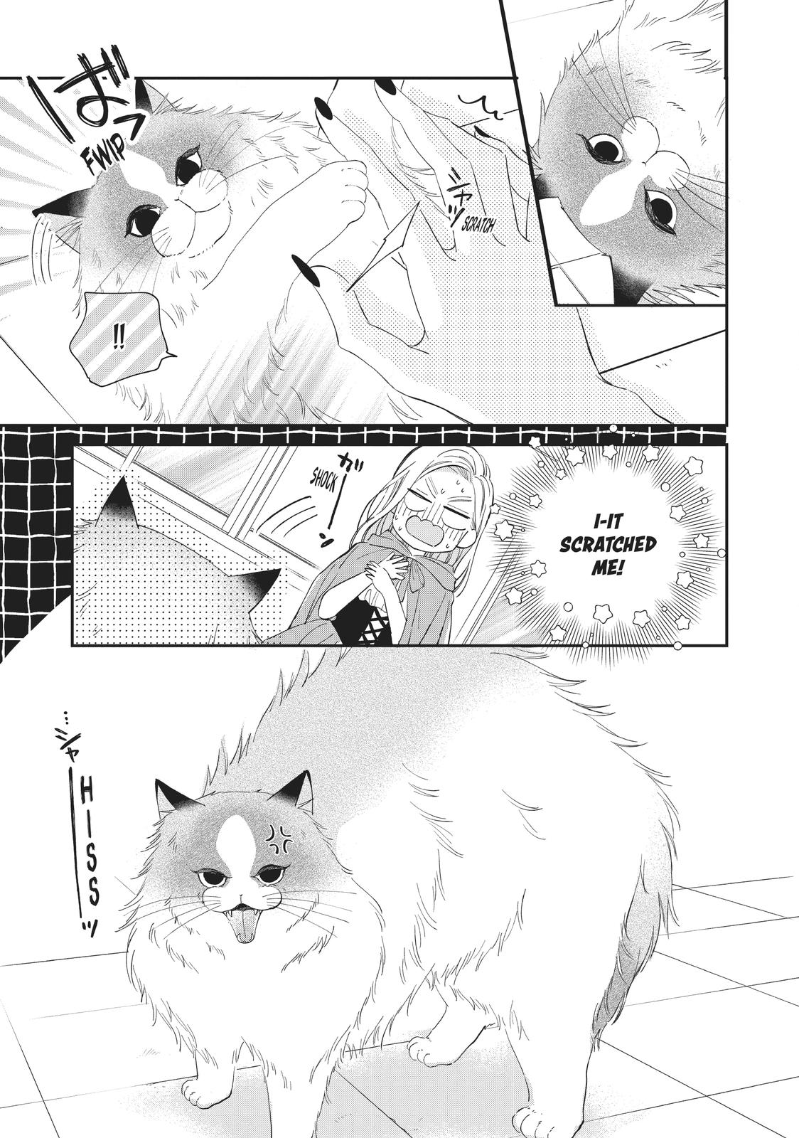 A Kiss with a Cat