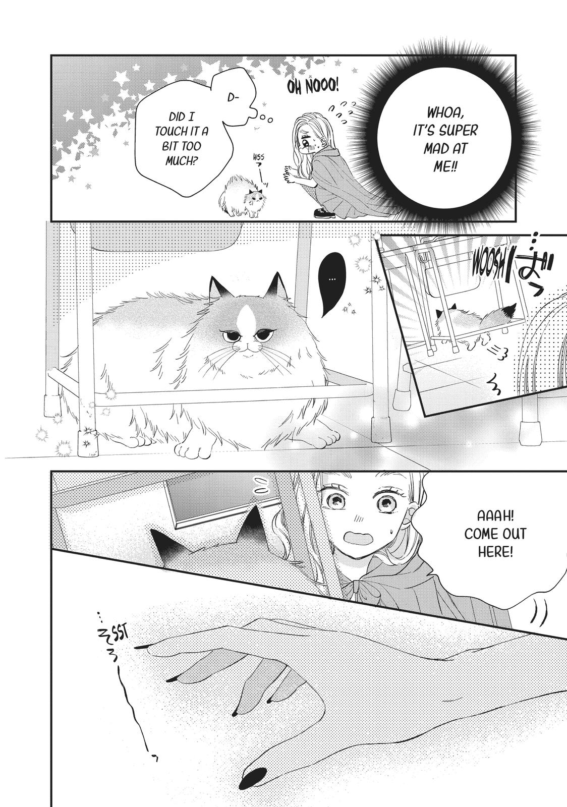 A Kiss with a Cat