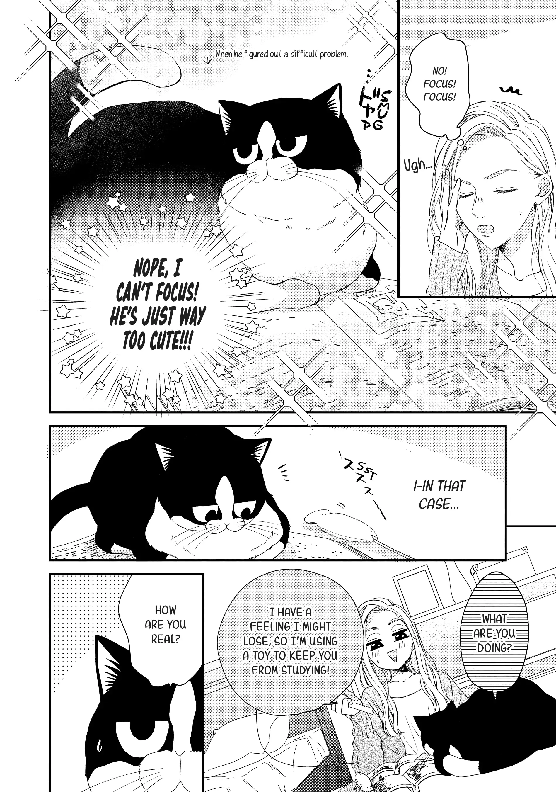 A Kiss with a Cat