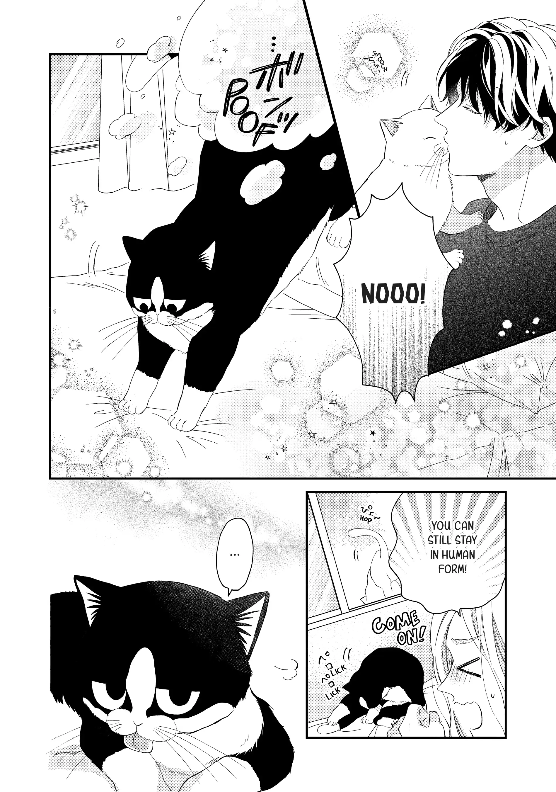 A Kiss with a Cat