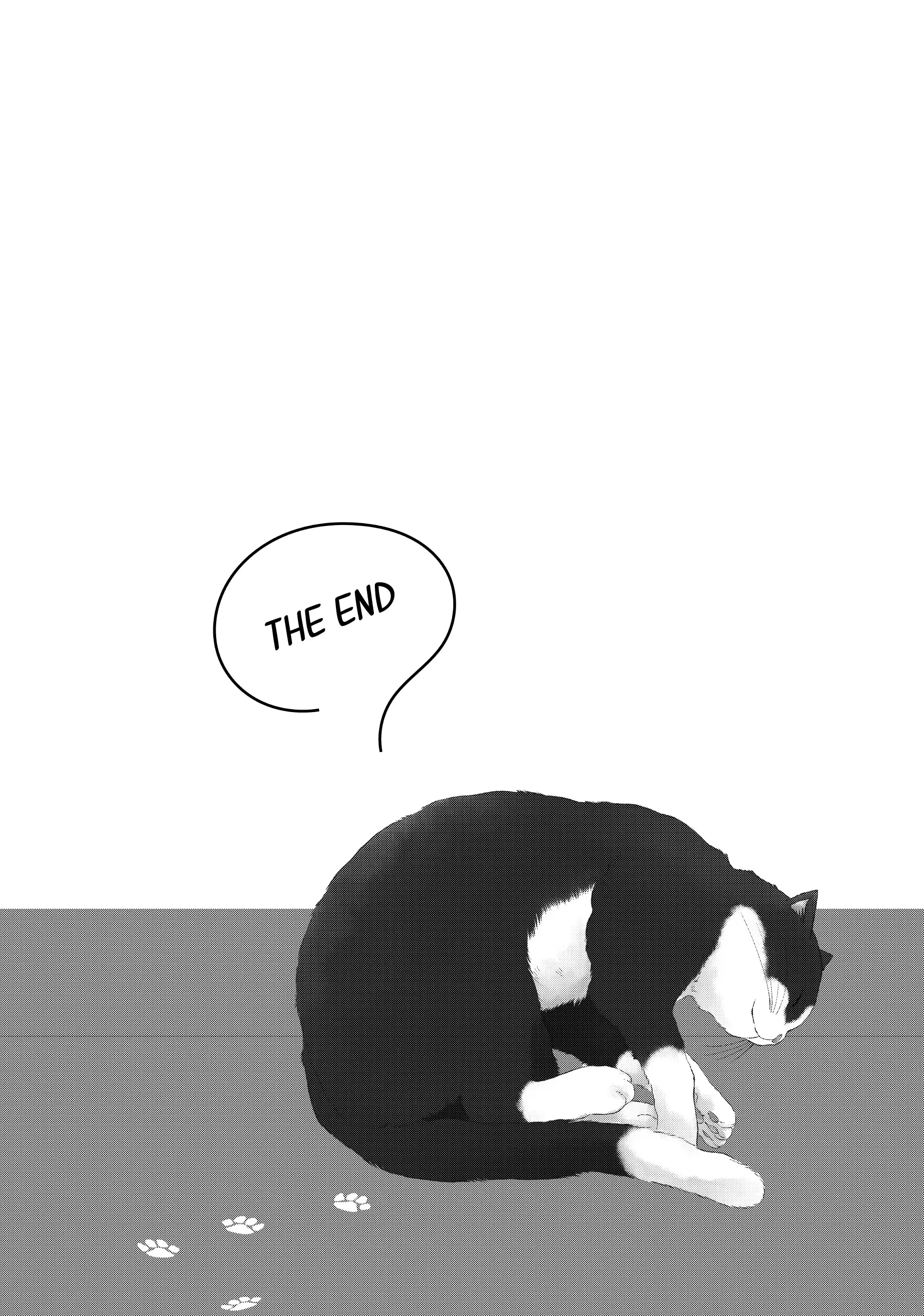 A Kiss with a Cat