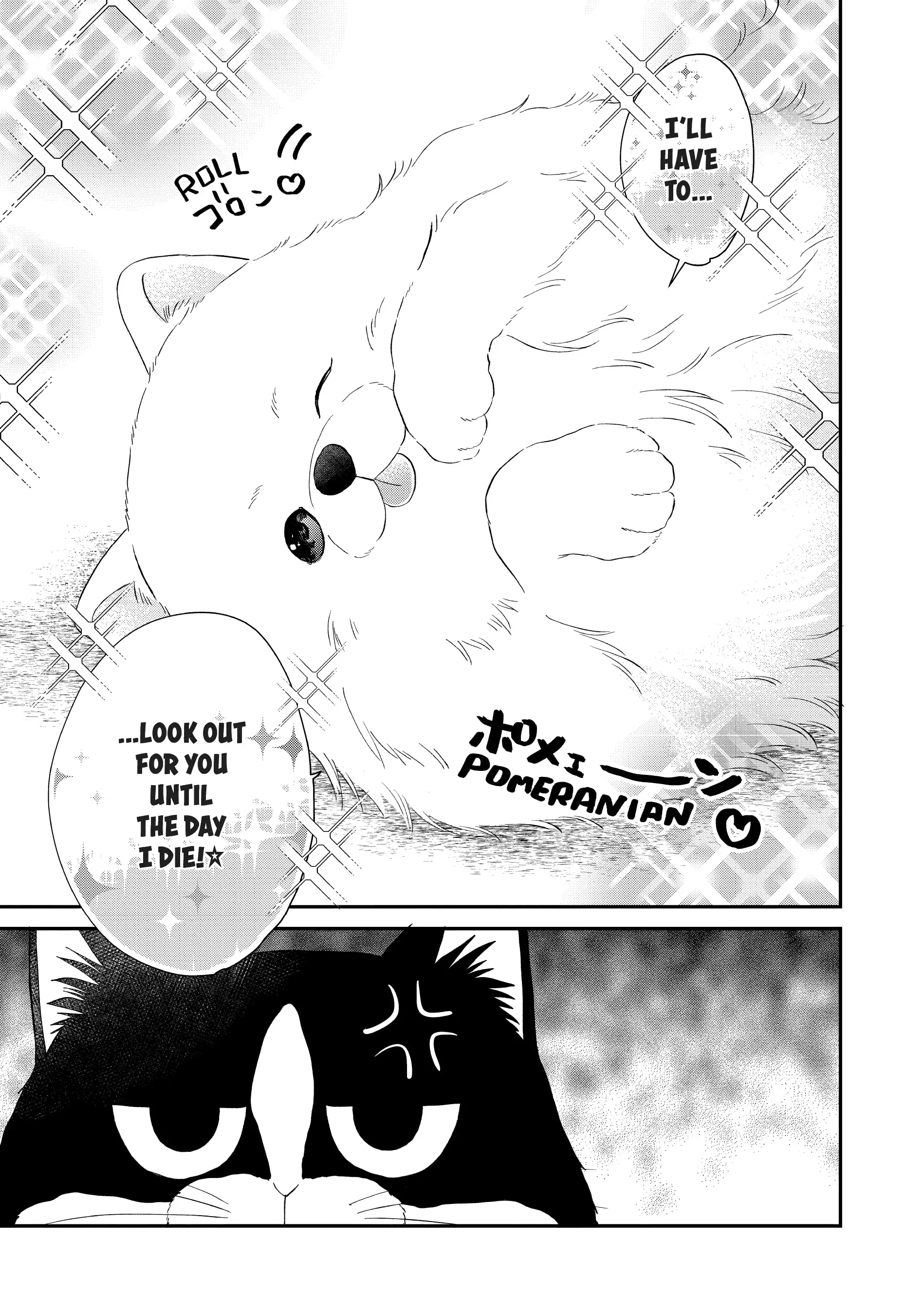 A Kiss with a Cat