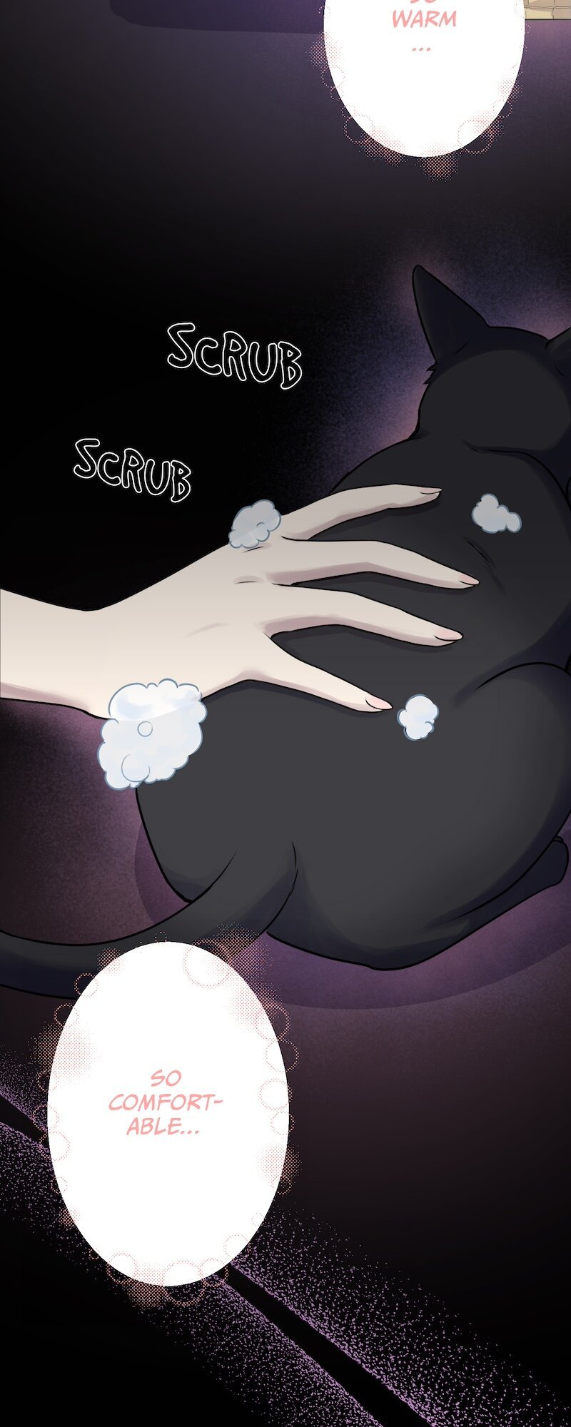 The False Saintess Overturns Her Fate