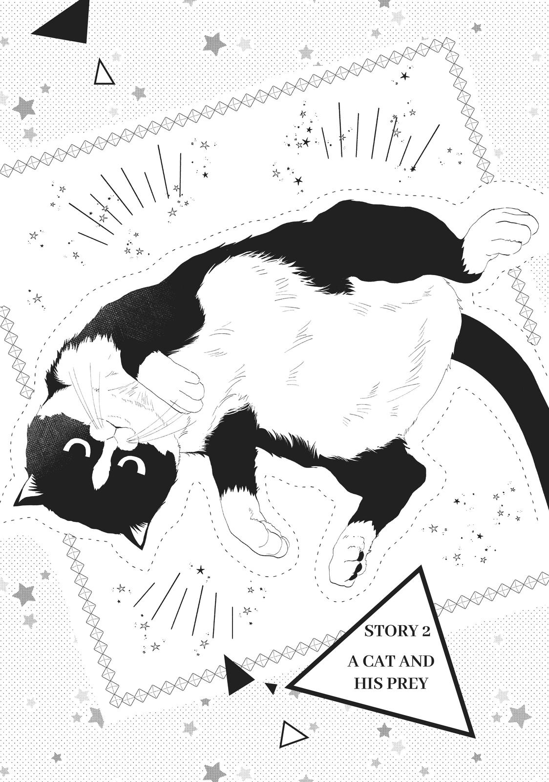 Neko to Kiss