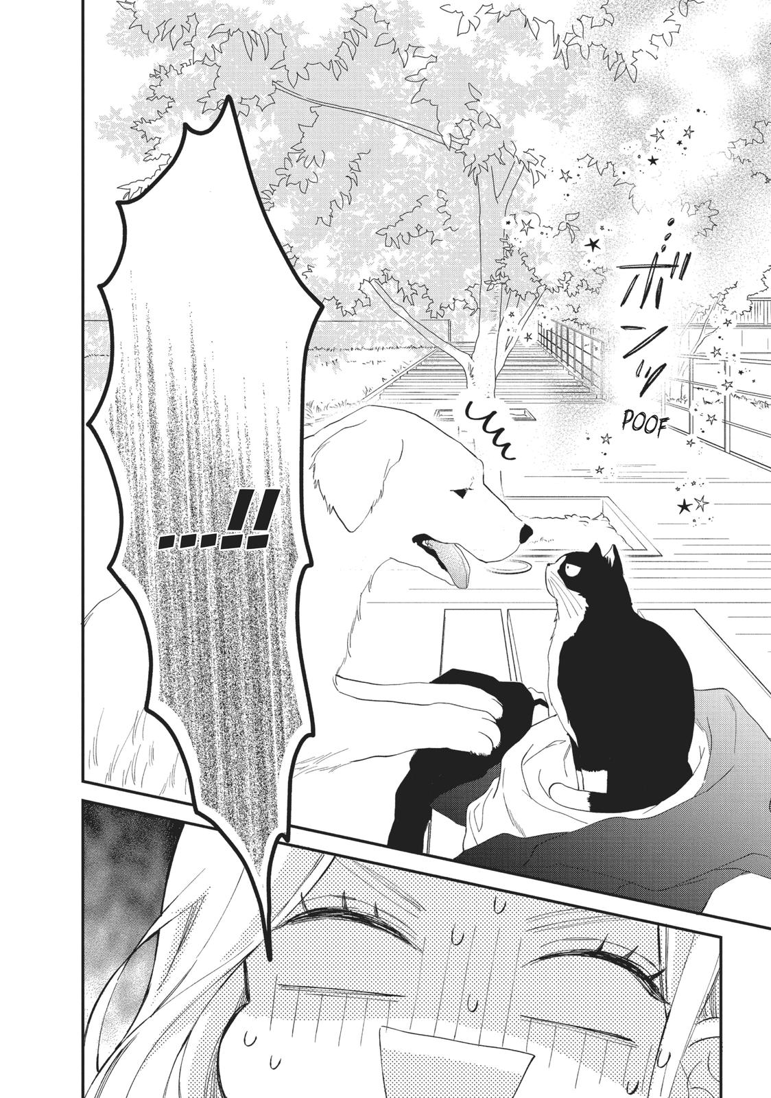 Neko to Kiss