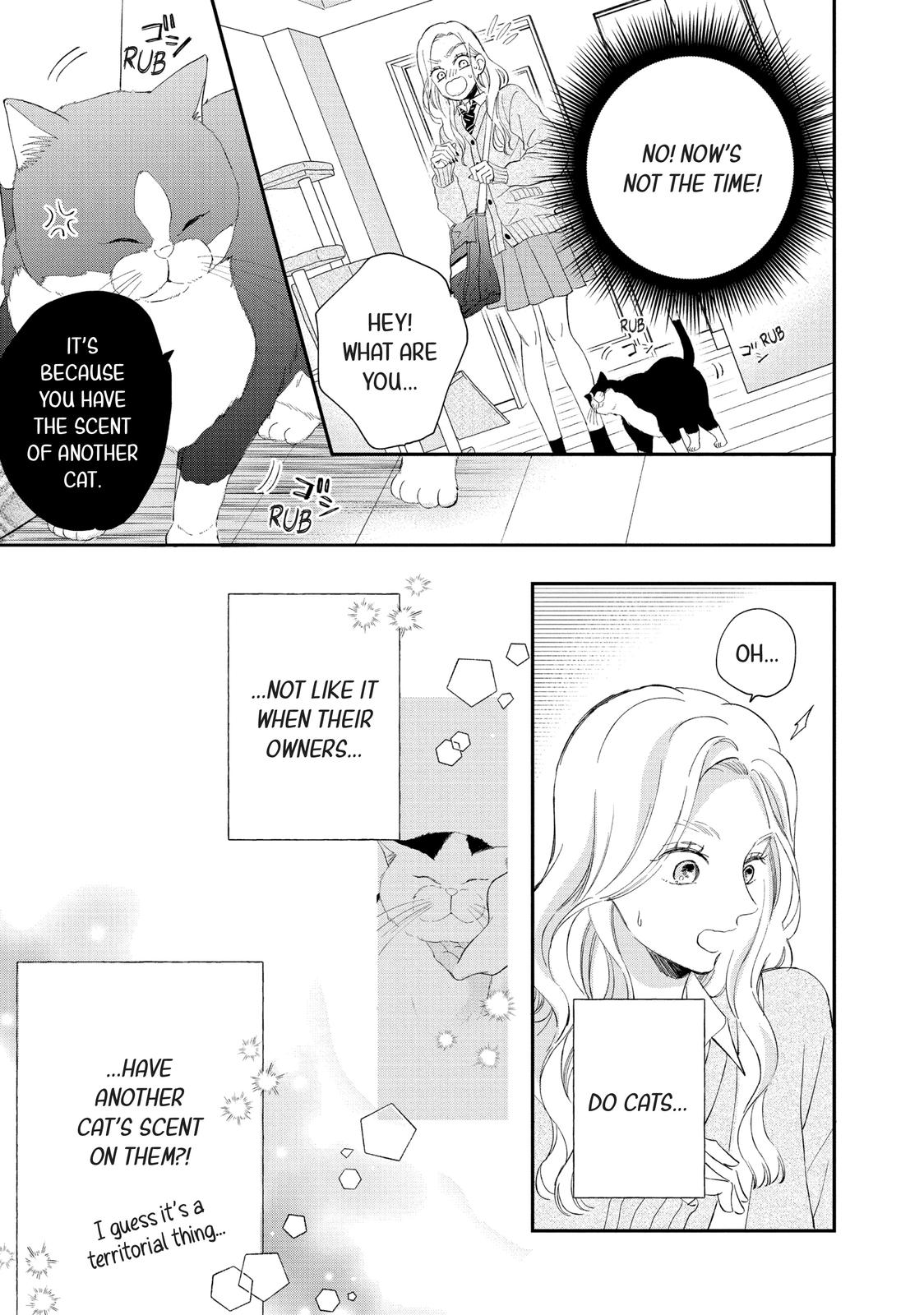Neko to Kiss