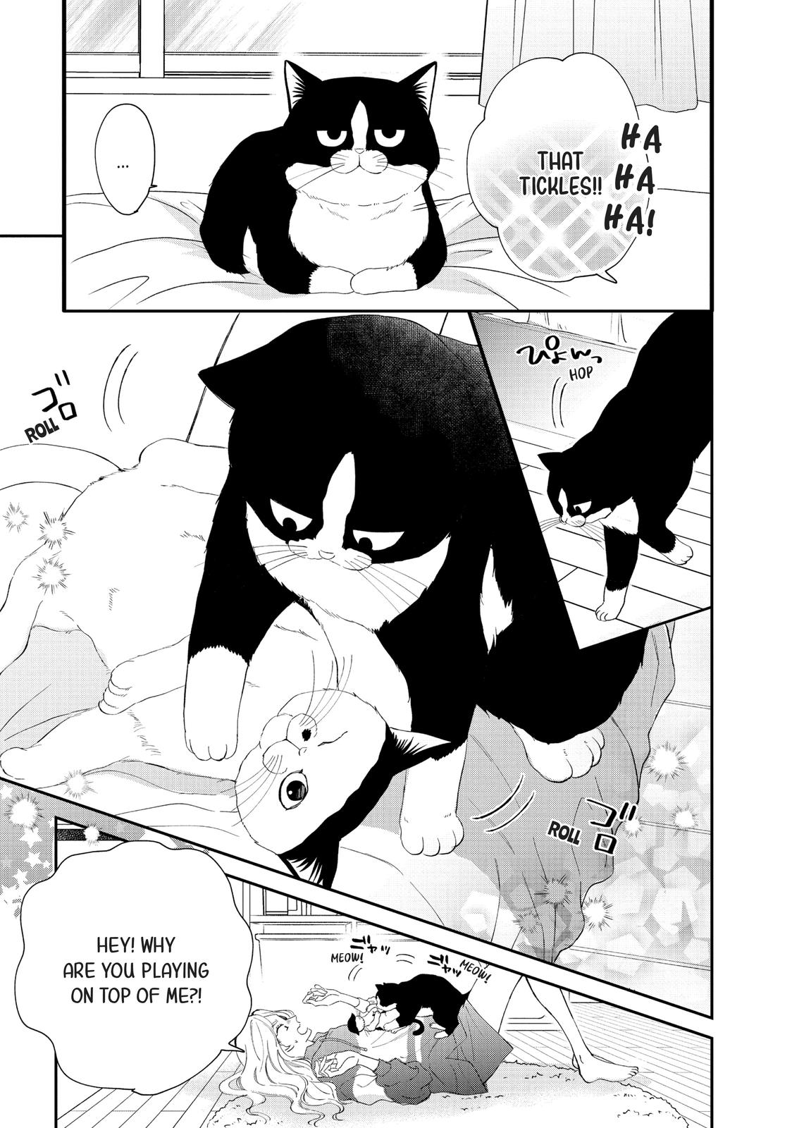 Neko to Kiss