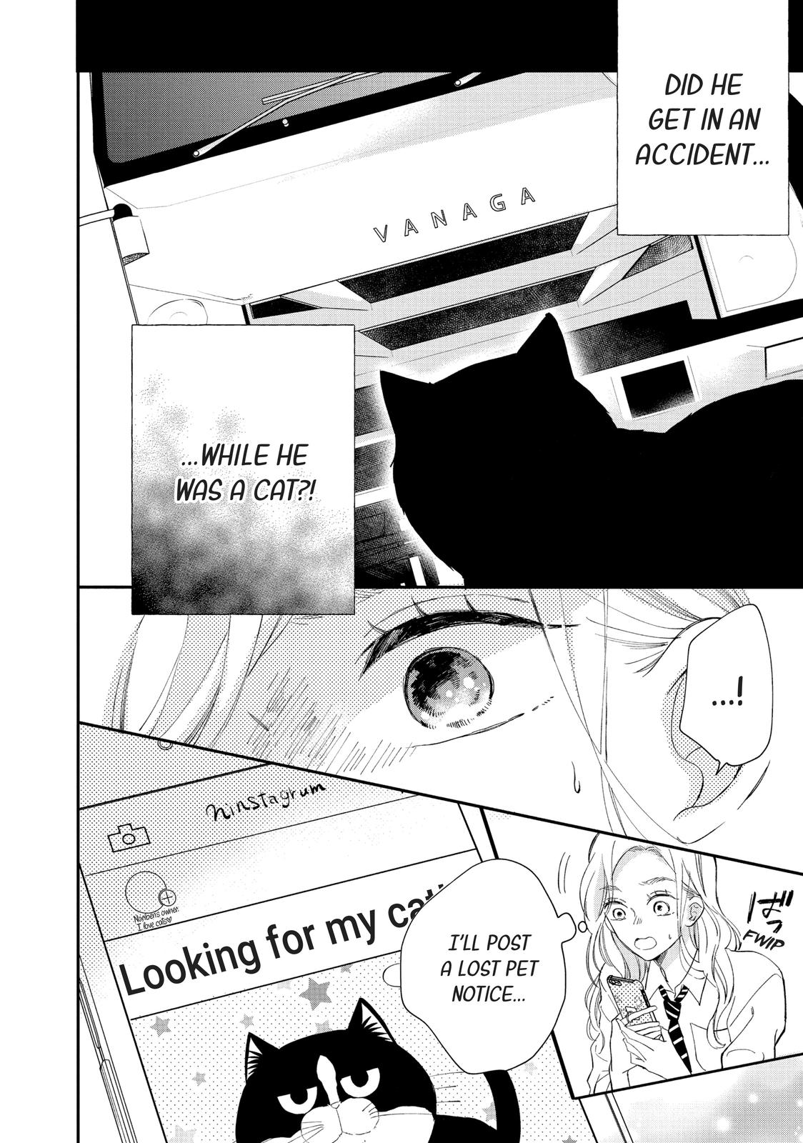 Neko to Kiss